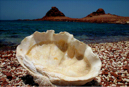 slide0061_image024.gif