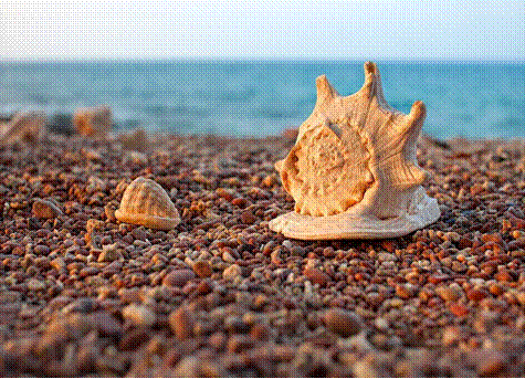 slide0115_image040.gif