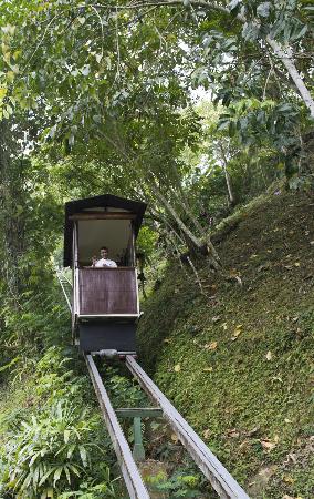 ubud-hanging-gardens_4.jpg