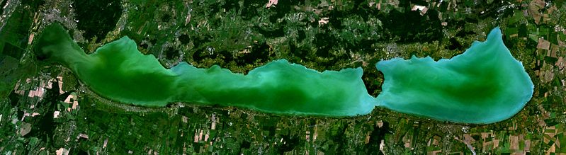 799px-Satellite_Image_of_Lake_Balaton.jpg