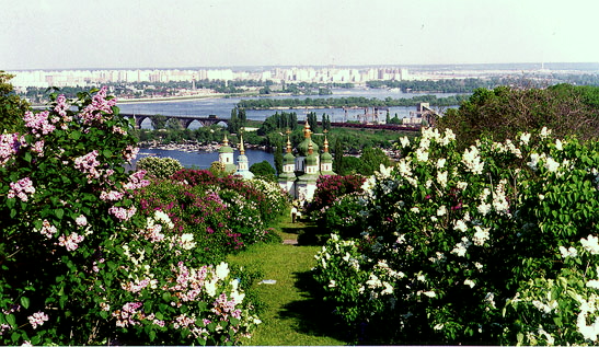 Kiev_BotanicalGardens_lilacs.jpg