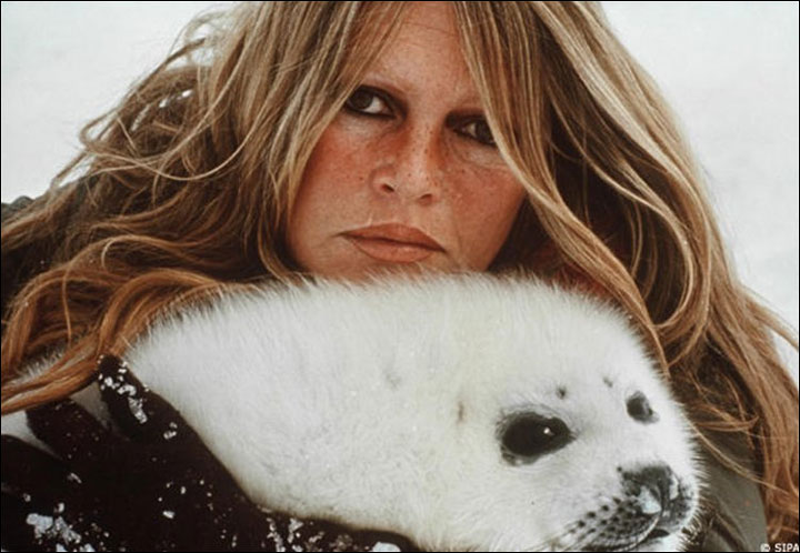 brigitte-bardot-with-seal.jpg