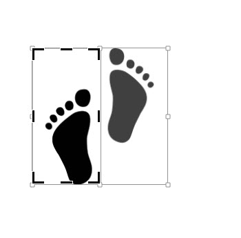 footprints3.jpg