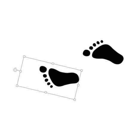 footprints5.jpg
