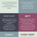 Infografika a virtuális asszisztensről