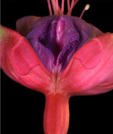 vag flower.jpg