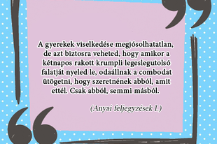 Anyai feljegyzések I.