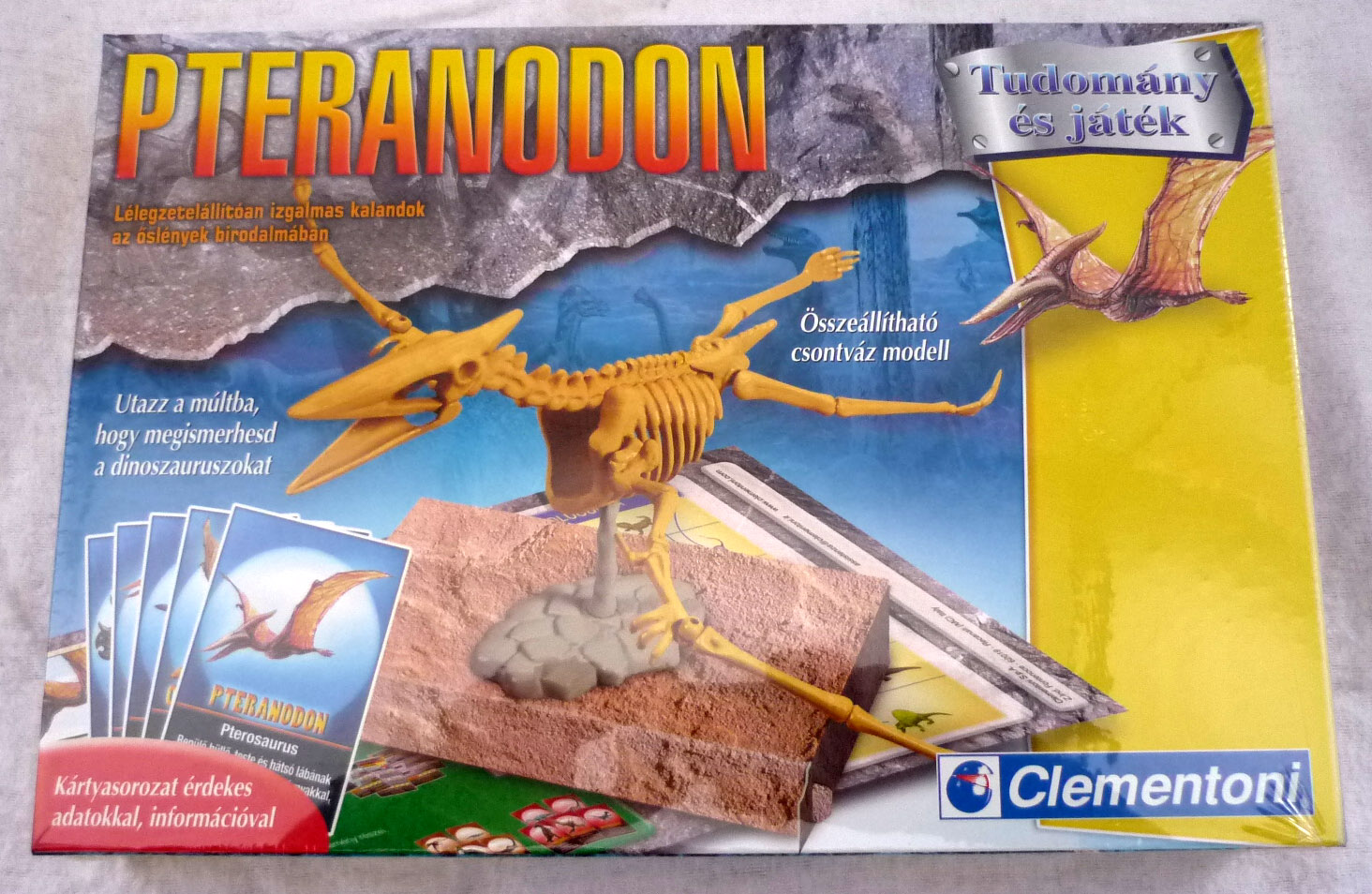 Pterodactilus REAL.jpg