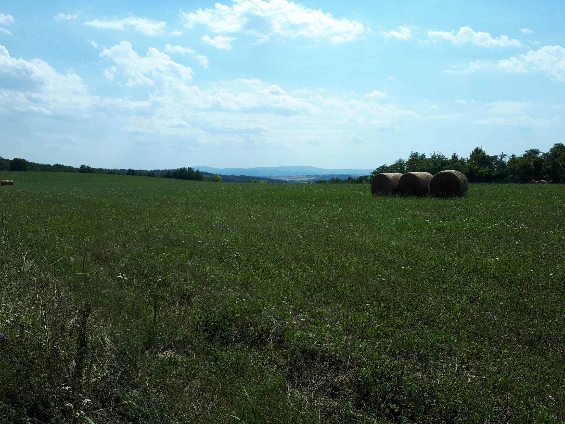 távolban a Kelet-Mecsek