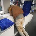 Metróhuzat