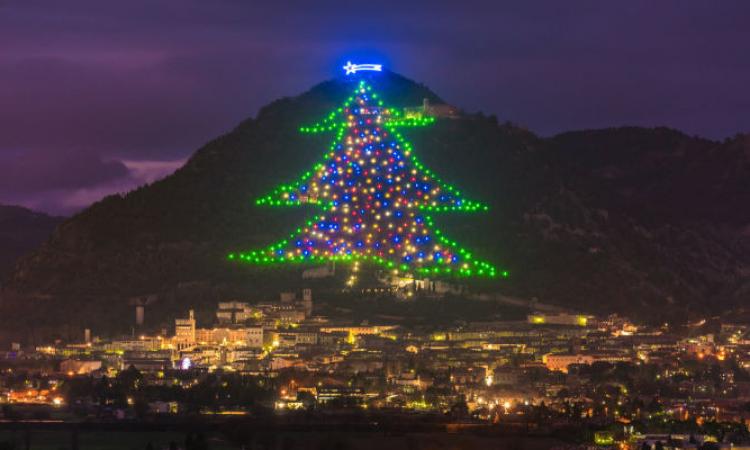 gubbio_albero.jpg