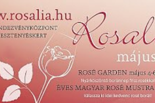 Zöld fűszeres abárolt szalonna rosé boros-balzsamecetes eperrel pirított fonott kalácson