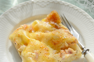 Sonkás-spárgás lasagne