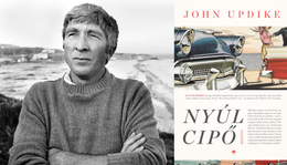 351 | John Updike: Nyúlcipő