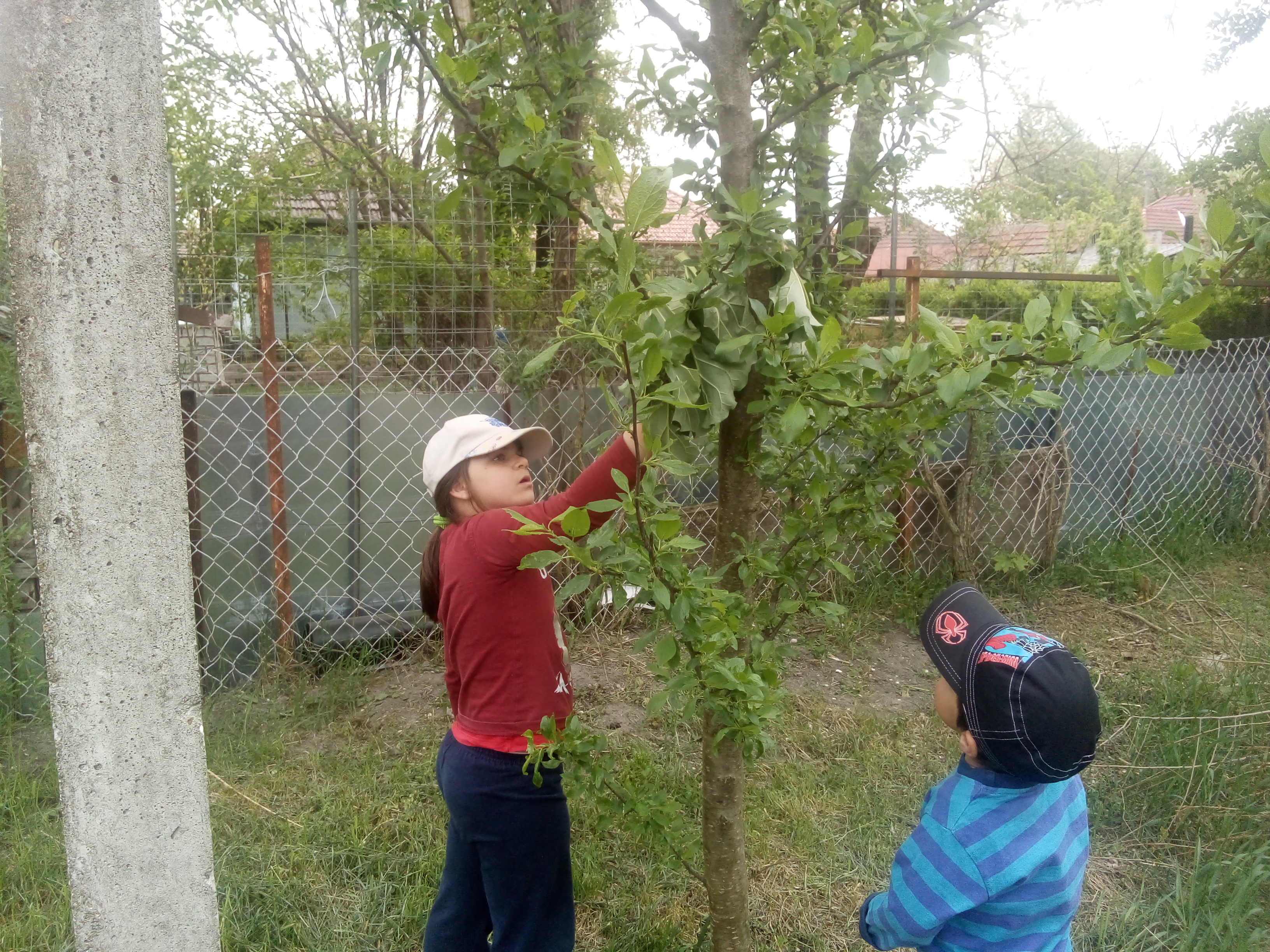 végül elértünk a csokoládés kincses csomaghoz! :)