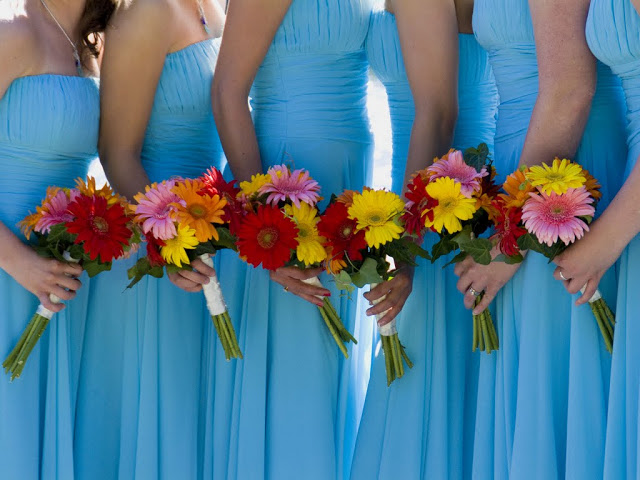 shutterstock_63568924.jpg