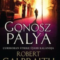 Robert Galbraith: Gonosz pálya