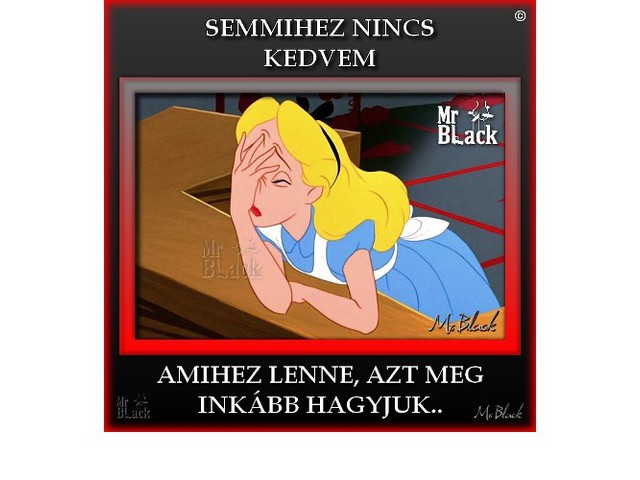 Megint nem jutottam semmire...