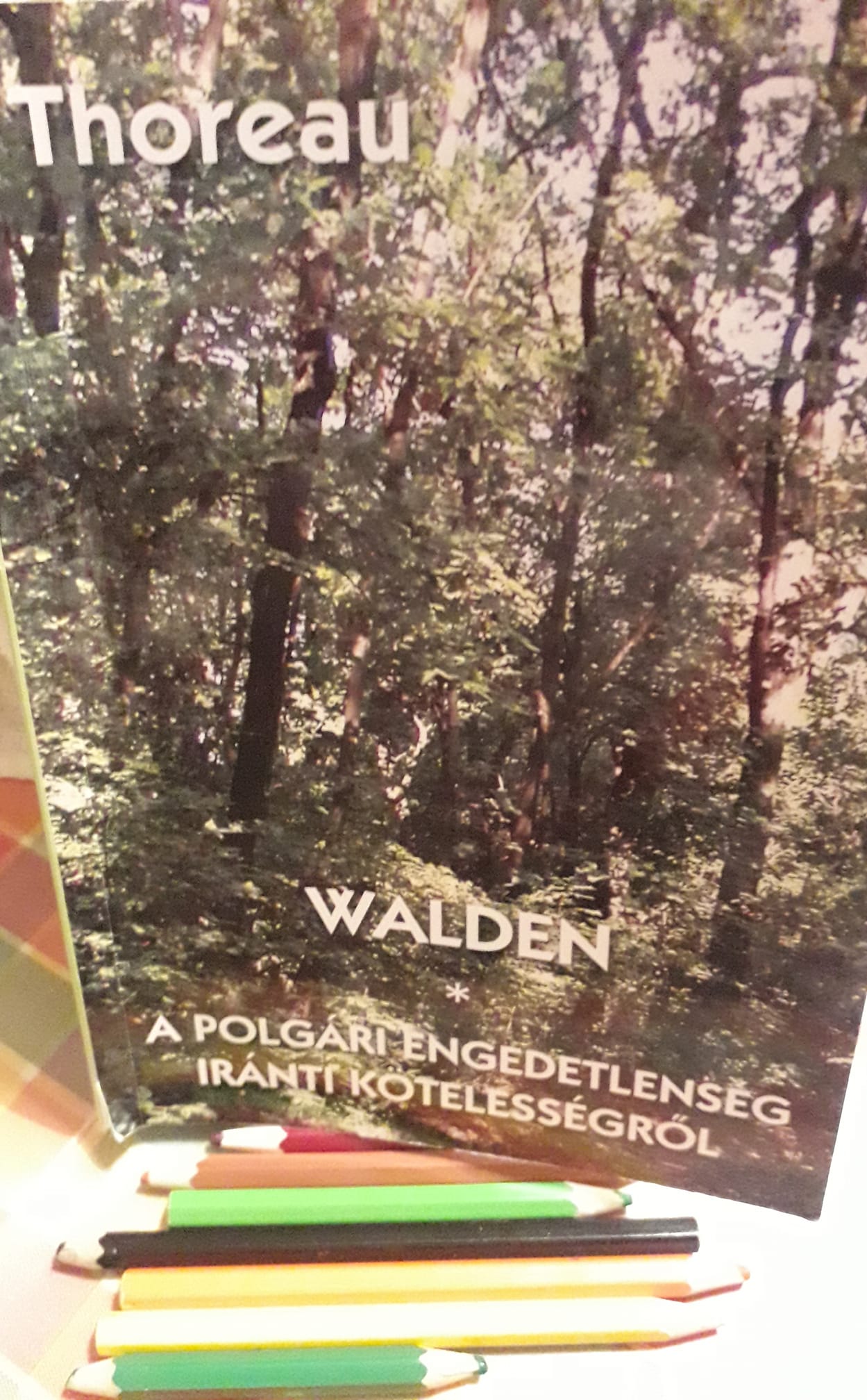 walden_1.jpg