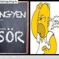 Ingyen sör ? :D