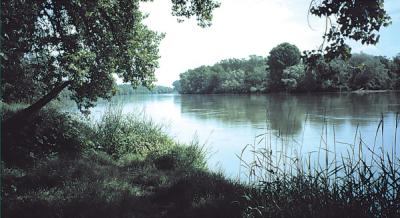 drava.jpg