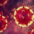 Ománban nincs koronavírusos megbetegedés