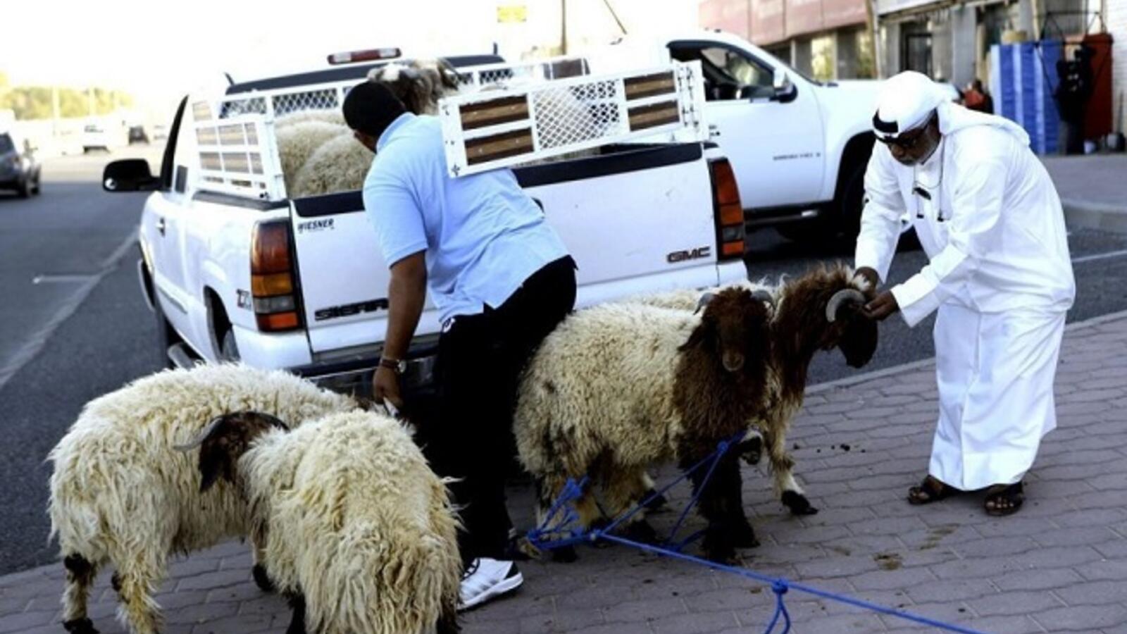 sheep_prices_eid_al-adha_afp.jpg