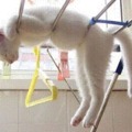Kiteregetve... :))
