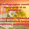 Önismeret mit jelent