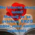 Sikeres ember