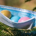 3. rész, amiben hősnőnk túléli a Húsvétot