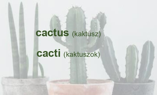 cactus_page-0001.jpg