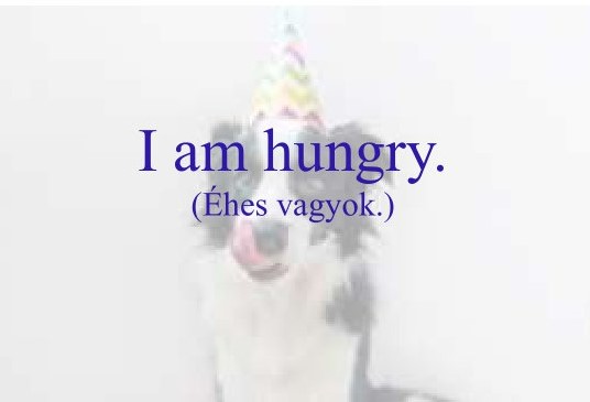 ehes_vagyok.jpg