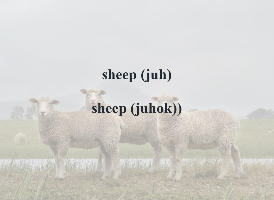 juh-page-00001_1.jpg