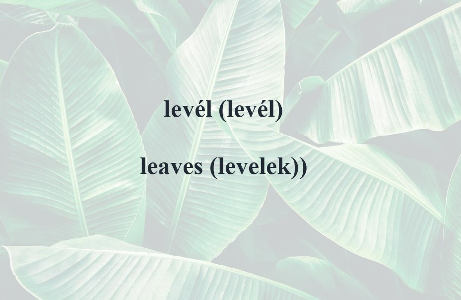 level-page-00001_1.jpg