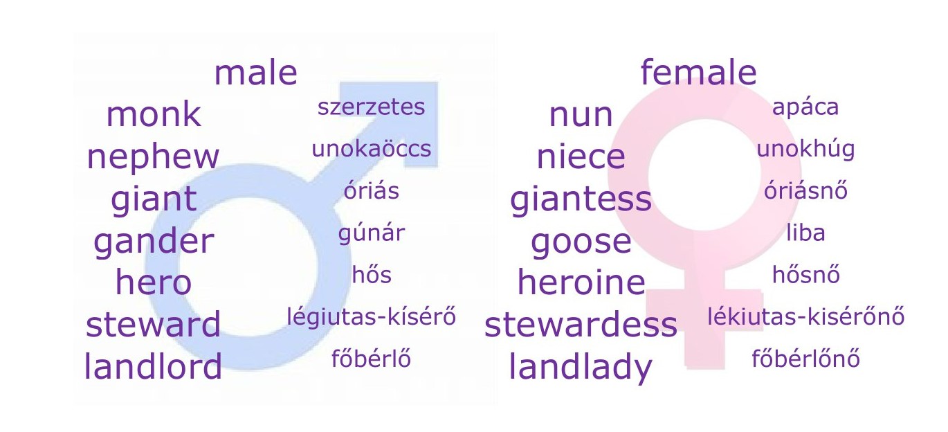 male-female.jpg