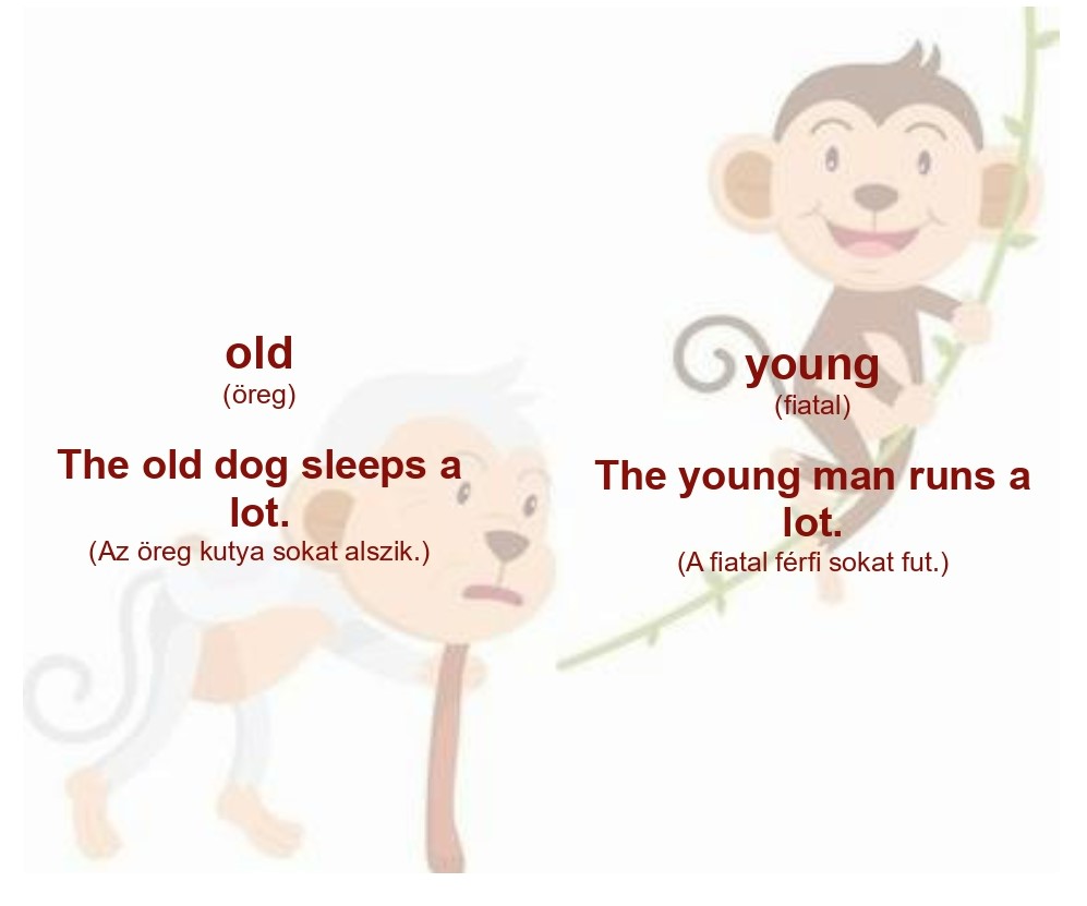 old_page-0001.jpg