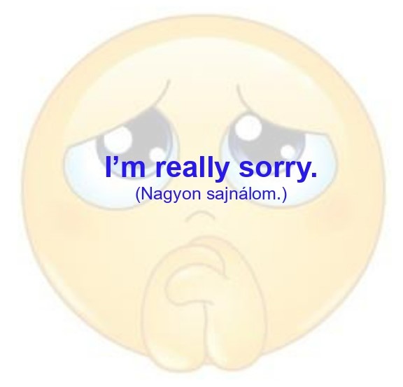 sorry_page-0001.jpg