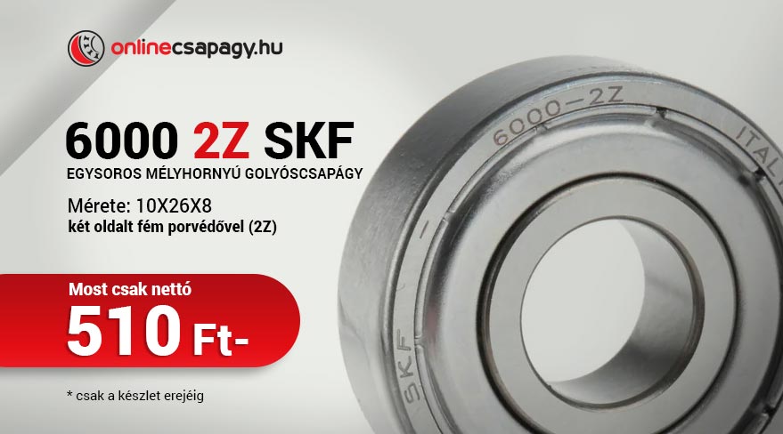 240911-6000-2z-skf.jpg