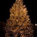 10 érdekes Guinness-rekorder karácsonyfa