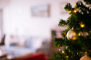 Környezetbarát karácsony: igazi fát vagy műfenyőt vegyünk?