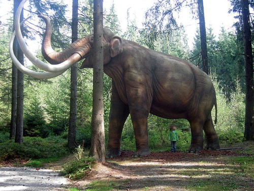 Mammoth_Mammut_model_500.jpg