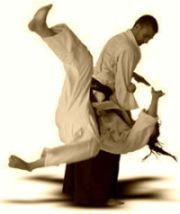 aikido-3.jpg