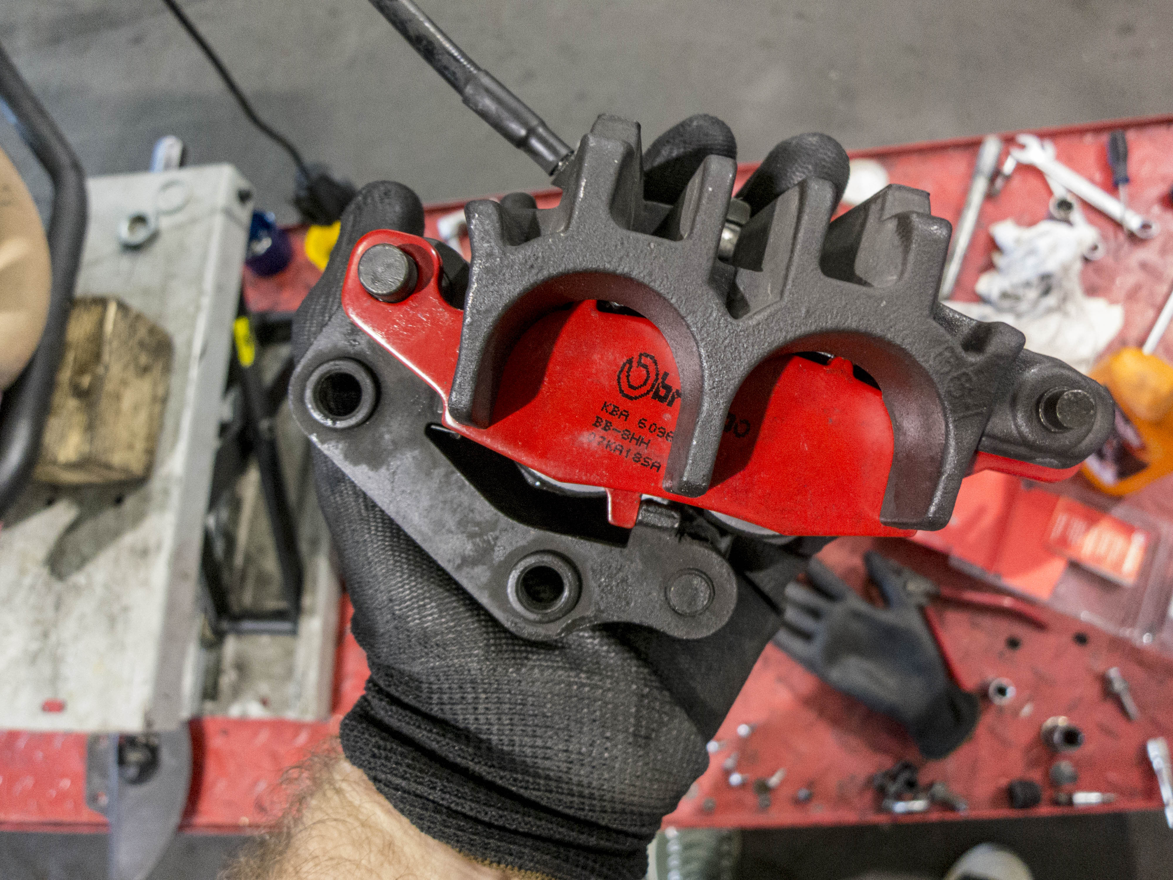 New Brembo break pads comes with new brembo creaks