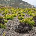 Santorini borait veszélyezteti a klímaváltozás