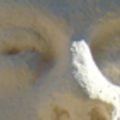 Címoldal