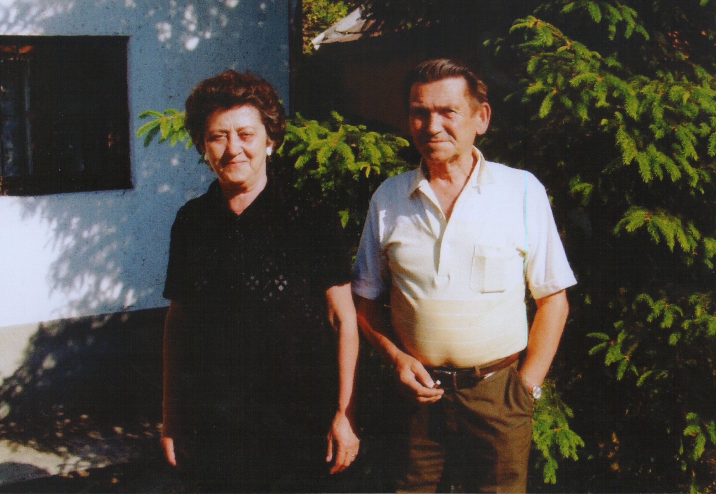 kispalgyorgy.jpg