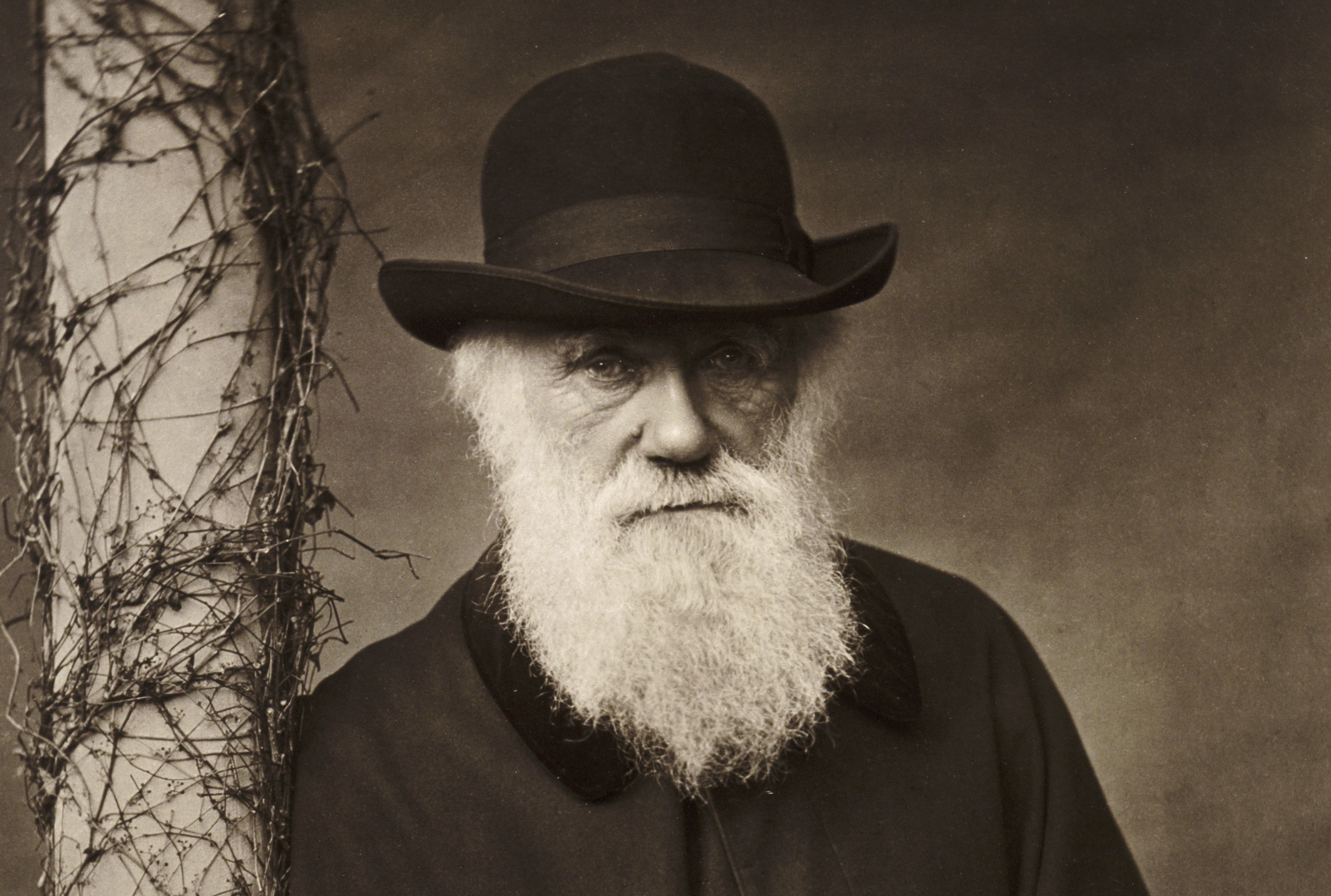 charles-darwin-3000-3x2gty-56a4890a3df78cf77282ddaf.jpg