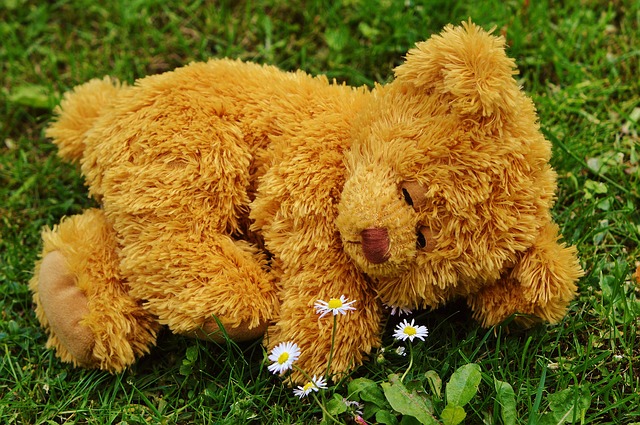 teddy-bear-792279_640.jpg