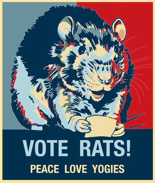 vote rat posterweb.jpg